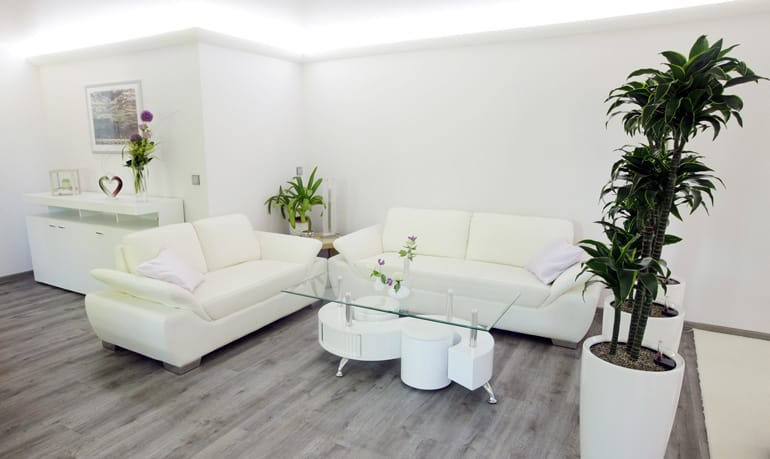 ReeVivo-Praxis Couchecke